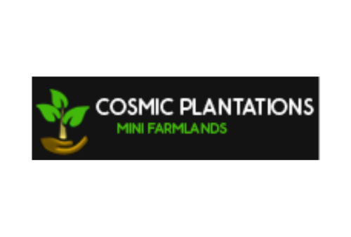 Cosmic Plantation - Real Estate